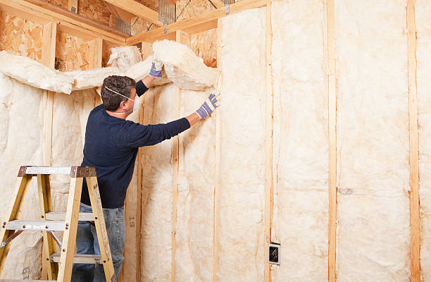 Best Crawl Space Insulation in Fowlerville, MI